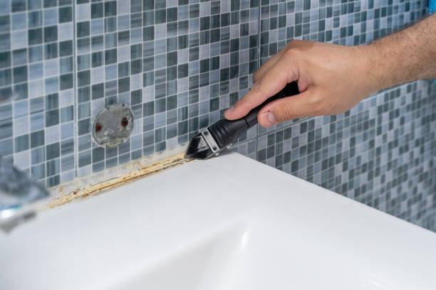 Best Fast Mold Removal  in Edwardsville, PA